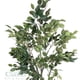 thumbnail image 2 of Planta Decorativa Árbol De Ficus 150Cm, 2 of 3