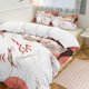 thumbnail image 1 of Natsume's Book of FriendsCartoon Collection 3-Piece Comforter Set, Personalized Bedding Decor for Kids And Teens Bed Sheets, 1 of 5