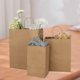 thumbnail image 5 of Bolsas De Presente Kraft Paper Paquete De 90 Unidades 3 Tamaños Surtidos Con Asas, 5 of 7