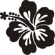 thumbnail image 1 of Sticker Flor De Hibiscus Auto Camioneta SUV Auto Camioneta, 1 of 3