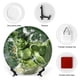 thumbnail image 3 of Hulk Plato decorativo de porcelana fina (bone china), plato decorativo de cerámica para hogar, oficina, soporte de pared, platos decorativos para dormitorio - 6 pulgadas (15 cm), 3 of 6