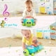 thumbnail image 2 of Juguete musical Turtle para bebés BQU de 6 a 12 meses con luz y sonido, 2 of 6