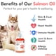 thumbnail image 2 of Suplemento De Aceite De Pescado Brilliant Omega 3 1 18l, 2 of 9