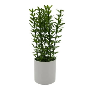 Fliperex - Planta Artificial Macetero De Ceramica Blanco Hojas Verdes Blanco