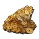 thumbnail image 1 of Estatua de rana de la fortuna Feng Shui Golden Feng Shui Money Frog de 4.5 cm, 1 of 1