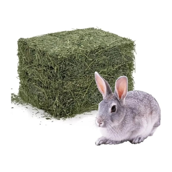 Heno de Alfalfa 5 Kg Natural Alimento Roedores Conejos Cuys