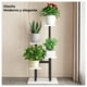 thumbnail image 4 of Estante para Plantas de Madera Soporte Decorativo Multiuso blanco, 4 of 6