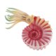 thumbnail image 4 of Simulación De Animales Del Océano Modelo Figura Juguetes Educativos Para Ni?os - Caracol De Mar Rosa, 4 of 5