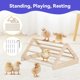 thumbnail image 5 of Kit inicial Pawaboo Chick (verde, rojo y madera), 5 of 7