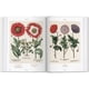 thumbnail image 5 of Biblioteca Universal - Florilegium, 5 of 8