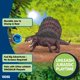 thumbnail image 4 of Figura de juguete Schleich Dimetrodón 15052 4+, 4 of 6