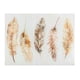 thumbnail image 1 of Canvas Pluma 60X80 Cm, 1 of 1