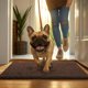 thumbnail image 5 of Alfombra para Puerta de Perro MUDGUARD MAT 61 cm x 152 cm (Chocolate), 5 of 5