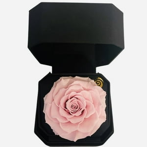 Allpa-Roseamor - Gift Box 11 Con Rosa Preservada Natural Rosado