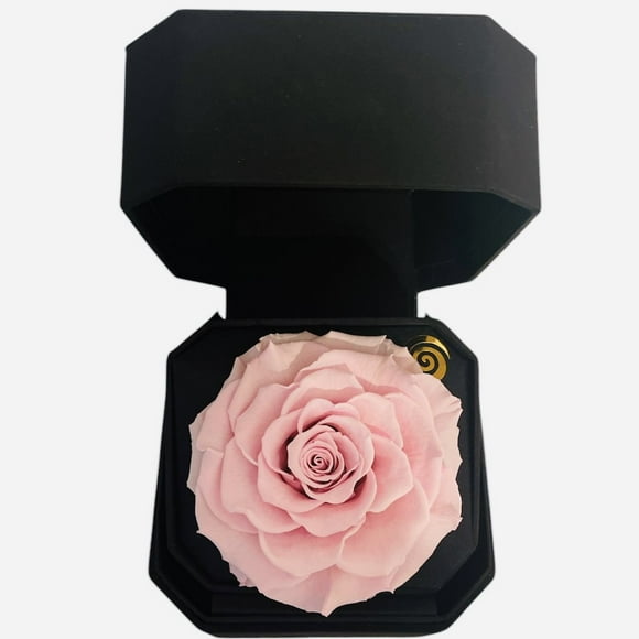 Gift Box 11 Con Rosa Preservada Natural Rosado