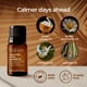 thumbnail image 3 of Aceite Esencial Gya Labs Deep Calm 10ml Relajante, 3 of 3