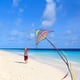 thumbnail image 5 of Colorful Life Delta De Kite Mint Para Niños Y Adultos Con 3 Cintas, 5 of 6