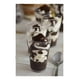 thumbnail image 5 of 100 Vasos Shot Acrilico Postres Vasos Plastico Vasos De Postres Pocillos 60ml no bpa, 5 of 5
