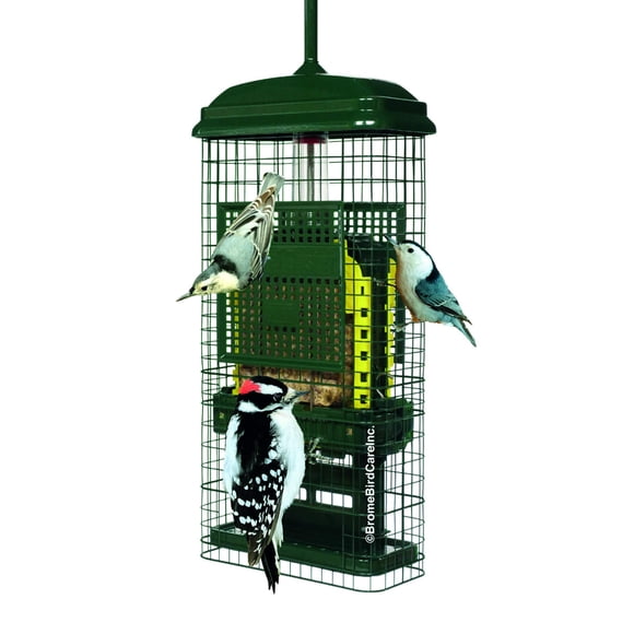 Comedero para Pájaros Brome a Prueba de Ardillas con 2 Bandejas para Suet Verde