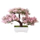 thumbnail image 5 of árbol De Bonsái De Plantas Artificiales Para El Hogar, Jardín, Oficina, Pared, Estante De Libros, Decoración Rosa, 5 of 5