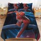 thumbnail image 2 of Spider-Man Poses 3 Piece Sets Full/Queen Size - Reversible Microfiber Quilts with 2 Shams Soft Lightweight Bedspread Coverlet Comforter for All Season Bed Sheets, 2 of 5