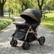 thumbnail image 4 of Coche De Paseo Cuna Comfy Negro Gold, 4 of 5