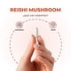 thumbnail image 5 of Reishi  Mushroom 500mg 60 Capsulas Nutrilife+ Sistema Inmune, 5 of 10