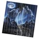 thumbnail image 2 of Juego De 2 Paneles De Decoración De Animales Para Adolescentes, Cortinas De Ventana Con Estampado 3D, Lobo, 2 of 5