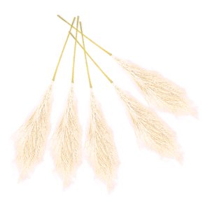 Bothyi - Faux Artificial Pampa Grass 70Cm Ramo De Decoración Para La Decoración Del Hogar Beige