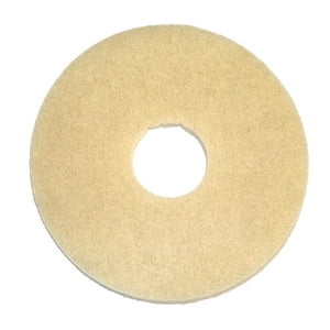 Bissell - Cuidado De Piedras Para Biggreen Commercial Bgem9000