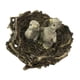 thumbnail image 1 of Animales En Miniatura Aves Modelo Estatuilla Estatua Scupltue Pájaros De Juguete Con Nido, 1 of 5