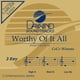 thumbnail image 1 of Acompañamiento Daywind – Worthy Of It All, 1 of 1