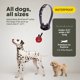 thumbnail image 5 of Collar de Adiestramiento para Perros Mini Educator ET-300 Impermeable con Control Remoto, 5 of 7