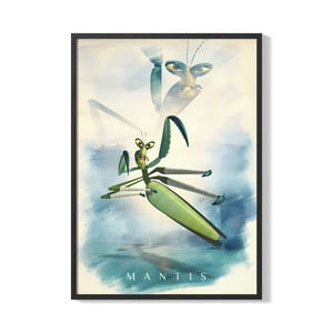 Creango - Cuadro Poster Enmarcado Kung Fu Panda Mantis Decorativo