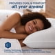 thumbnail image 4 of Almohadas Con Plumas De Ganso Y Plumas De Ganso Tamaño Queen X2, 4 of 9