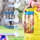 thumbnail image 5 of Loo Loo Kids Botella de Agua con Tapa Pop Top de Un Toque, Acero Inoxidable, a Prueba de Fugas, para Deportes, Botella Infantil azul 12 oz, 5 of 6
