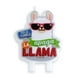 thumbnail image 2 of Vela apaga la llama, 2 of 2