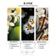 thumbnail image 3 of Recarga para difusor LUXSCENT COLLECTION 20 ml Baccarat Rouge, 3 of 7