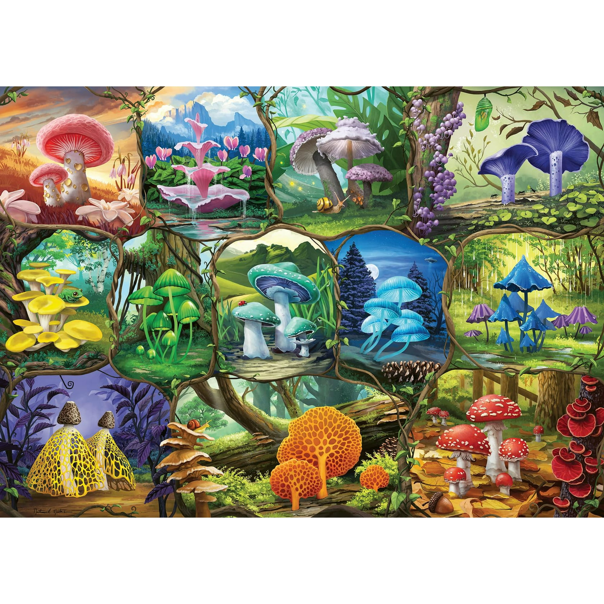Rompecabezas Ravensburger Hermosos Hongos 1000 Piezas