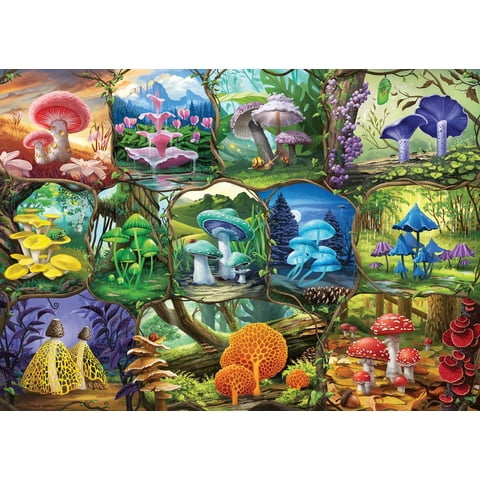 Rompecabezas Ravensburger Hermosos Hongos 1000 Piezas
