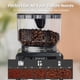 thumbnail image 4 of Molinillo de café Gevi Electric Burr 35 Grind Settings 240 g, 4 of 9