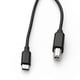 thumbnail image 2 of Cable de USB-C a USB-B Nebraska TCU-SBB, 2 of 2