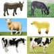 thumbnail image 3 of Set de juego WODMAZ con figuras de animales de granja, 40 unidades, con tractor, 3+, 3 of 7