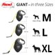 thumbnail image 3 of Correa retráctil para perros FLEXI Giant Tape para perros medianos, 3 of 8