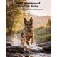 thumbnail image 5 of Collar De Adiestramiento Canino Blackdog Military Para 2 Perros 2 5 68 Kg Azul, 5 of 8