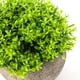 thumbnail image 2 of Planta Artificial 12*12cm, 2 of 2