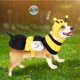 thumbnail image 5 of Disfraz de abeja para mascotas, perros, creaciones espeluznantes con sombrero de abeja 3D, 5 of 6