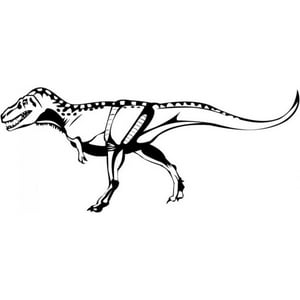 Rienda Libre Graphics - Decomural T-Rex Dinosaur Tyrannosaurus Rex Ws-17570