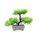 thumbnail image 1 of Plantas Artificiales En Maceta Que Dan La Bienvenida Al Adorno De Pino Para La Decoración Del Jardín De La Casa, 1 of 5