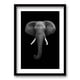 thumbnail image 1 of Cuadro Elephant B/N 50x35cms, 1 of 1